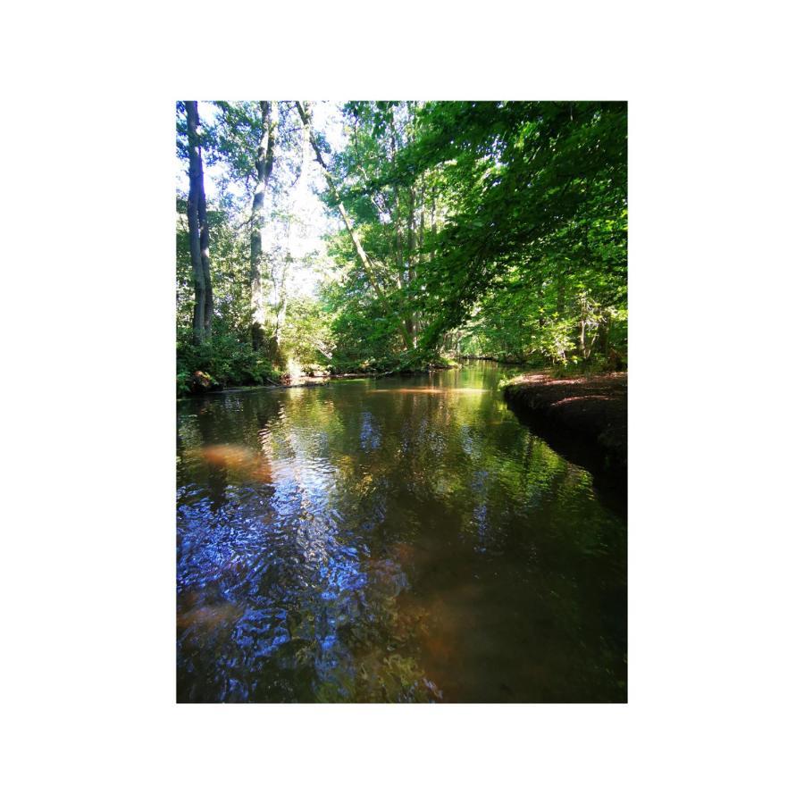 Seeromantik Amelinghausen Exteriér fotografie
